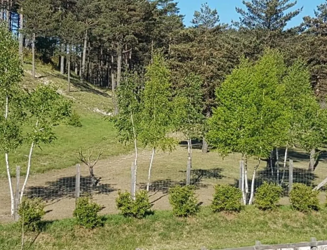 Hôtel Domaine De L'Auspeliere à Greolieres Tente de luxe